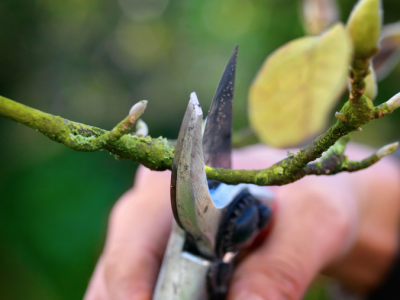 Schermafbeelding 2021-04-20 om 14.00.11