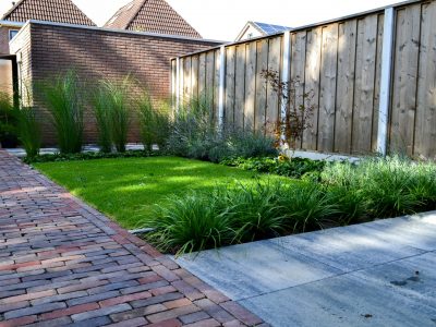 moderne-tuin-mecklenfeld-tuinen-schaduwtuin-schaduw-schutting-siergrassen